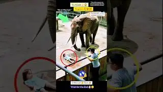 Massallah 😇☝🏻 Respect 😍 #shorts #short #youtubeshorts