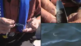 Trolling Spoons for Deep Water Lake Trout
