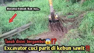 Parit seperti ini ternyata banyak ikan nya||Tanah bergambut😱⁉️Excavator cuci parit di kebun sawit‼️