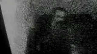 MOV0084A.mp4