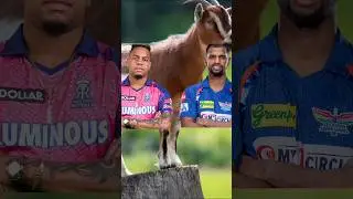 Rr vs lsg in IPL 2023 #shorts #trainding #cricket #ipl