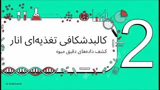 کالری انار و جدول کامل ارزش غذایی آن از آموزش آنلاین آشپزی 1TouchFood.com