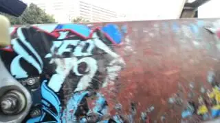 鬼ゴケ