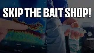 The EASIEST Way to Catch Bait For Summer Beach Fishing