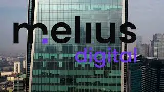 Introduction Melius Digital