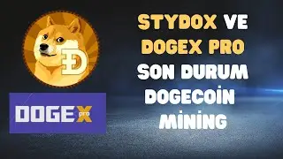 Dogex Pro Ve Stydox Son Durum  Dogecoin Mining