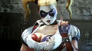 Batman Arkham Asylum: The Pursuit Of Harley Quinn.
