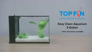 Top Fin Easy Clean Fish Tank 3 Gallon #Aquarium Setup | YouTube
