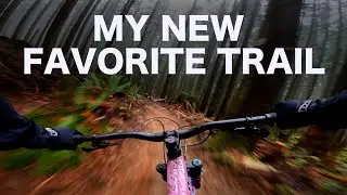 This trail will blow your mind | Tiger Mountain Side Hustle