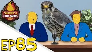 EP85 - The Rise of the Memmy Falcon: Existential Dread and Vinyl Repair
