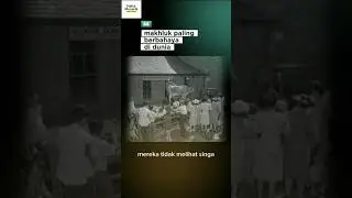 Bronx Zoo 1963: Kandang Kosong yang Mengungkap Hewan Paling Berbahaya di Dunia!#FaktaMenari