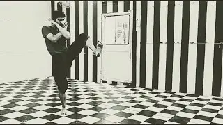 Kalaripayattu Ashta Vadivu