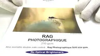 Rag Photographique: Instaarts