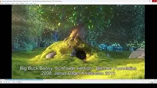 How to Convert from H265 Video to H264 using FFmpeg