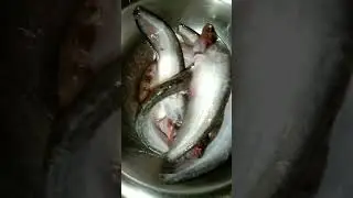 পাপদা মাছেৱ কাৱি#ytshortsvideo#fishingvideo#minivlog#shortvideo#papdafishcurry#&hellip; Queen kitchenroom#