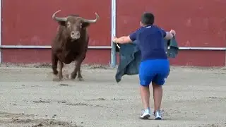 😱 ASI ARRANCA UN TORO BRAVO! MEJORES QUIEBROS EN LA PLAZA