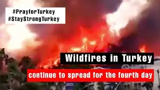 Wildfires in Turkey continue to spread for the fourth day due to strong winds and hot weather