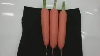 Pot leek show 2019show leeks