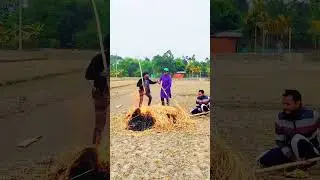 Funny moments 😂