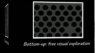 Bottom Up test