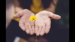 Supreme Meditation - UHD - Relaxing Meditation For Success And Prosperity (Audio1 ) - SERENITY