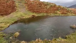 Lily Tarn - Ambleside - Lake District (Short Scenic Walk)