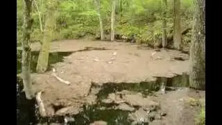 Leon Sinks sink-2