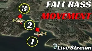 Fall Bass Migration Explained | FTM Livestream #104