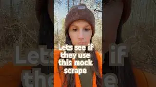 Maybe they will hit this one 🤷🏼&zwj;♀️🦌 #fypシ #deerhunting #huntin #fypage #hunt