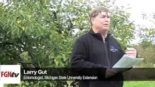 MSU Studies SWD Pressure in Cherries &mdash; FGNtv