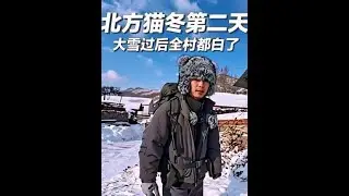 来北方猫冬的第二天，大雪过后整个世界都白了，小伙去村子里讨水喝#vlog日常 #解压#荒野独居