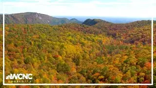 NC sets tourism spending record with $36 billion in 2024