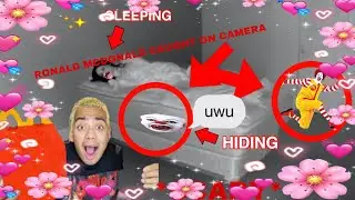 i edited another life of luxury video (trash warning)