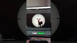 Радиус обнаружения животных в моей игре...