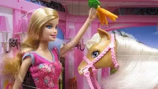 Barbie - Feed & Cuddle Tawny Horse and Doll Playset - Mattel