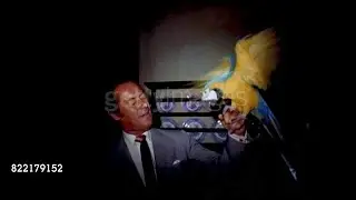 Dr. Dolittle (1967) - Behind the Scenes