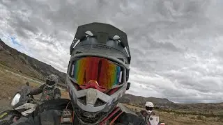 Dusty Butt 2024