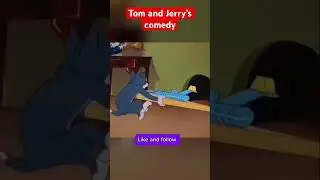 Tom and Jerry&rsquo;s comedy #tom #jerry #tomandjerry #tomandjerryshorts #tomandjerrycarton