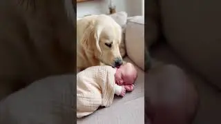 Heart-Melting Baby & Pet Moments 👶🐶🐱 Sweetest Friendships Ever! ❤️