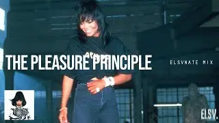 The Pleasure Principle | Janet Jackson x Cardi B MASHUP [ELSVNATE MIX]