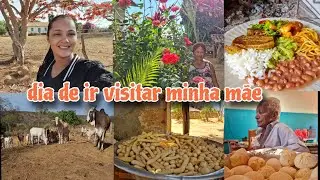 Passei o dia na melhor companhia, ajudando minha mãe/varrir quintal/ plantei sementes/ fiz chiringa