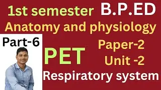 Respiratory system. Physical education classes paper 2 Bped. 1st semester #physicaleducation.