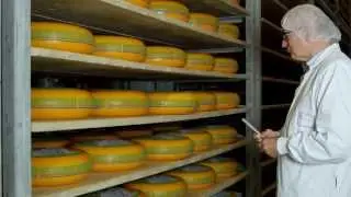So machen wir bei Frico echt holländischen Gouda seit über hundert Jahren.