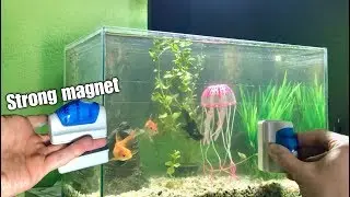 Magnetic Aquarium Cleaner