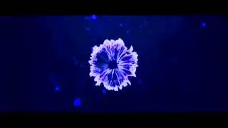 Мое новое интро