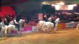 Carrousel salon du cheval 2009