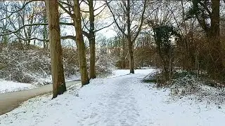 The Joy of Walking on Snow in a Cold Natural Landscape ( Part 3 )