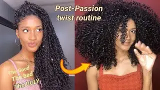 Full Passion Twist Experience | + Takedown/Washday