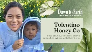 Tolentino Honey Co: premium raw Hawaiian honey | support LOCAL