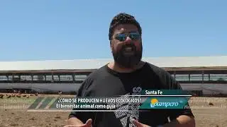 &iquest;C&Oacute;MO SE PRODUCEN HUEVOS ECOL&Oacute;GICOS?